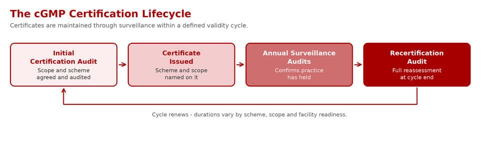 cGMP certification lifecycle in Singapore - initial certification audit, certificate issued, annual surveillance audits, recertification